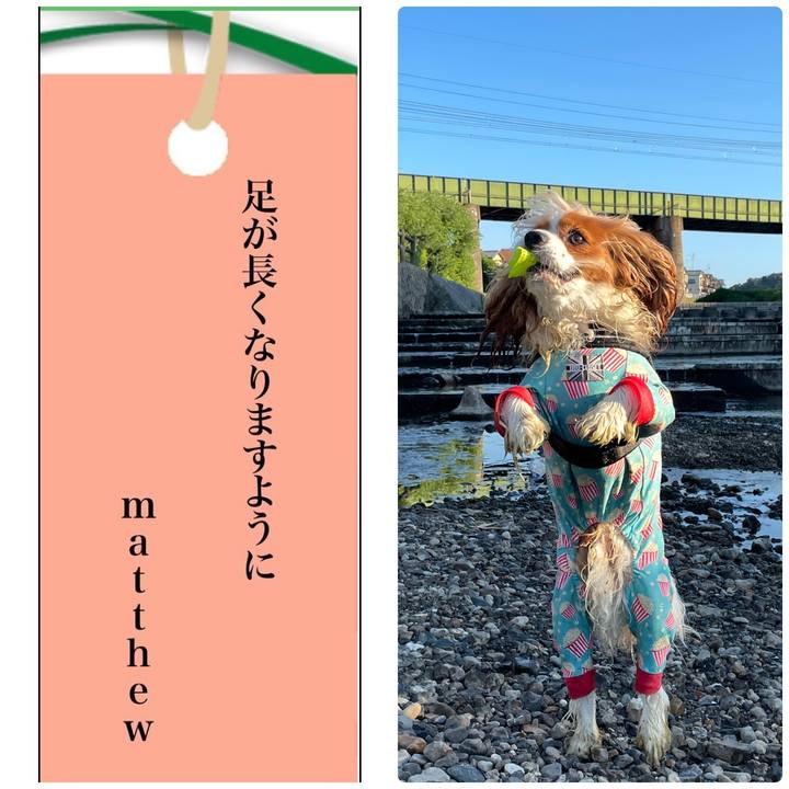 95f6fa26 7eb4 4ba4 b275 c769dd53e7b9 1657201812990