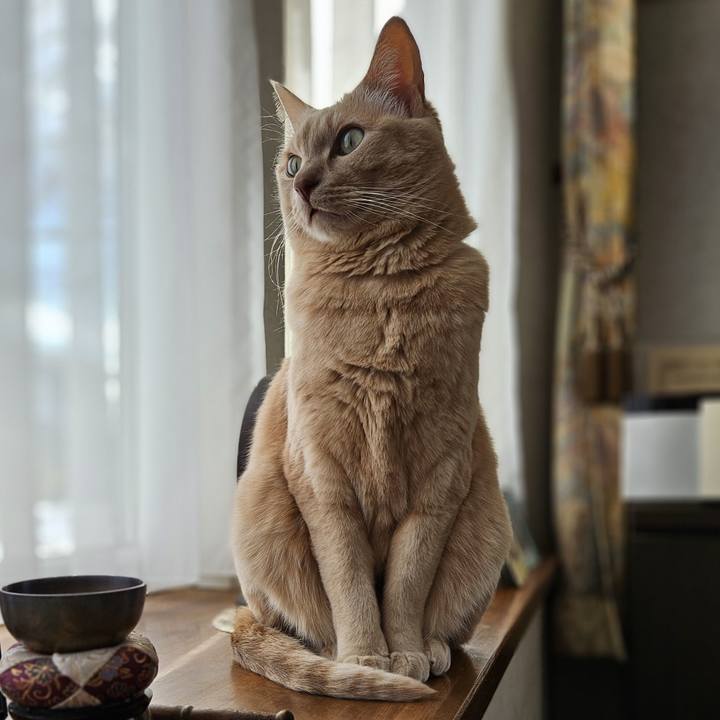 95f7119a 5322 4156 87a1 40cfffaaa5ec 1738387280273