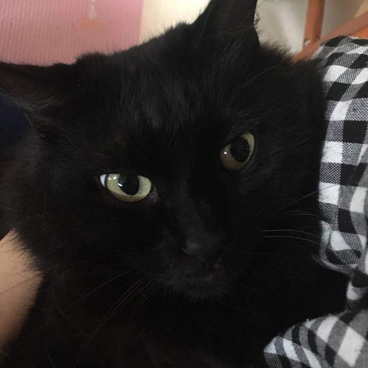 95f776f5 b9f3 4d07 80fb 124ed5336190 1533370693895