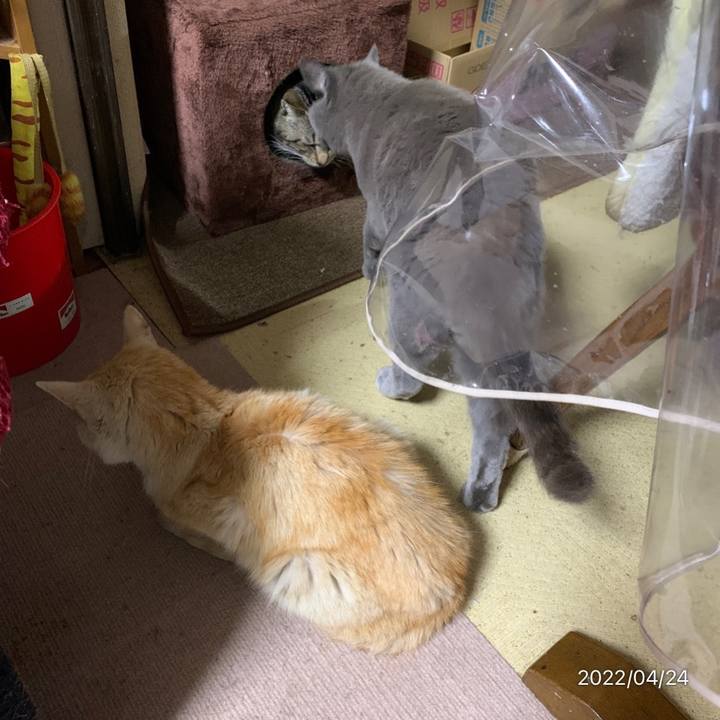 95f783ce 5d45 4b0c b8ae aeb2274b50a3 1650791763476