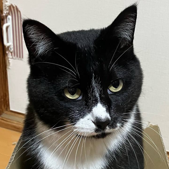 95f78c93 b245 42e5 aa3d 530ee3957c08 1748485984236