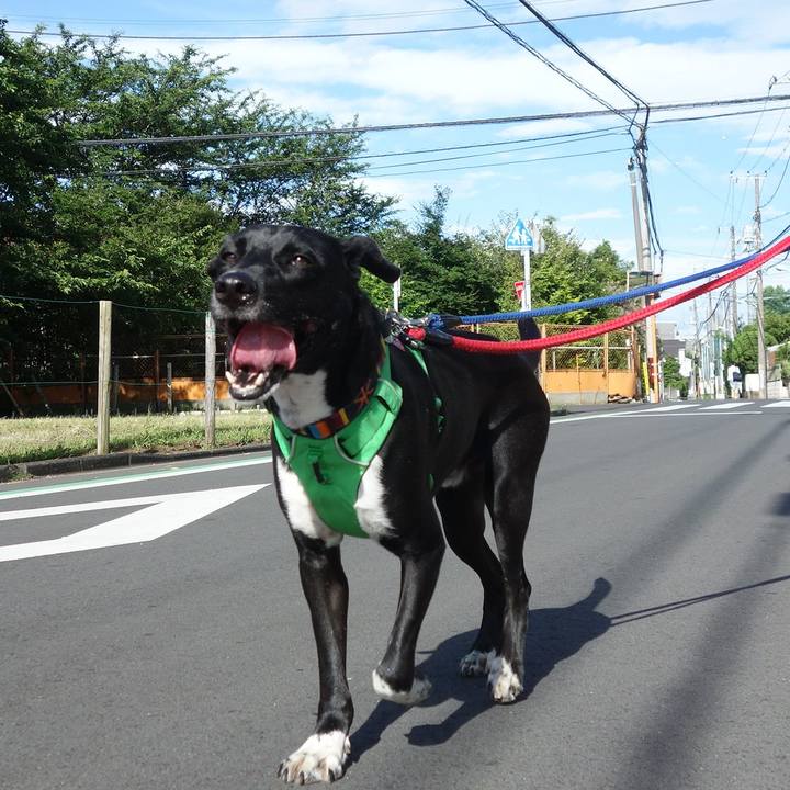 95f79da4 1b9e 462e ba98 2375fc33cfb8 1591834509316