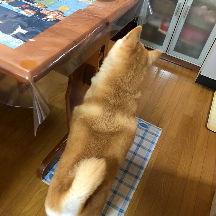 95f80c9c 2a8a 49af b25d 434aa16e3dab 1602039549611