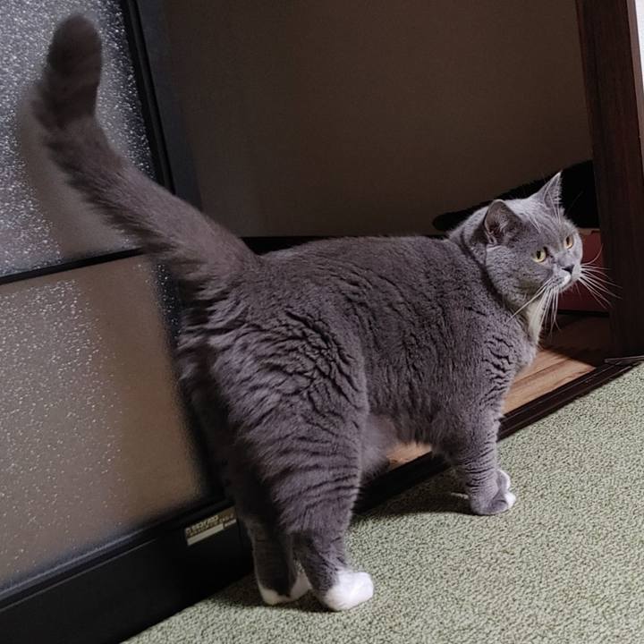 95f85857 e202 4044 aa43 920a6f3a15d1 1629805516156