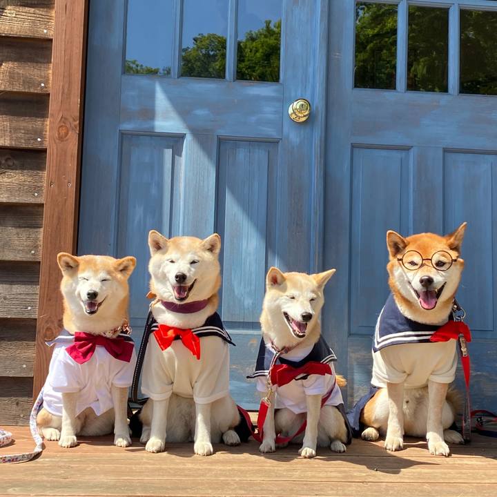 95f8b1e5 cb96 49a1 b344 242e9b3a967a 1715584517066