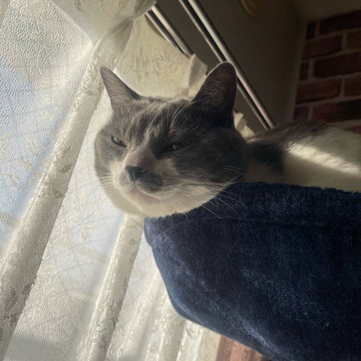 95f8d084 66e0 4352 8463 e340acba1930 1705360596724