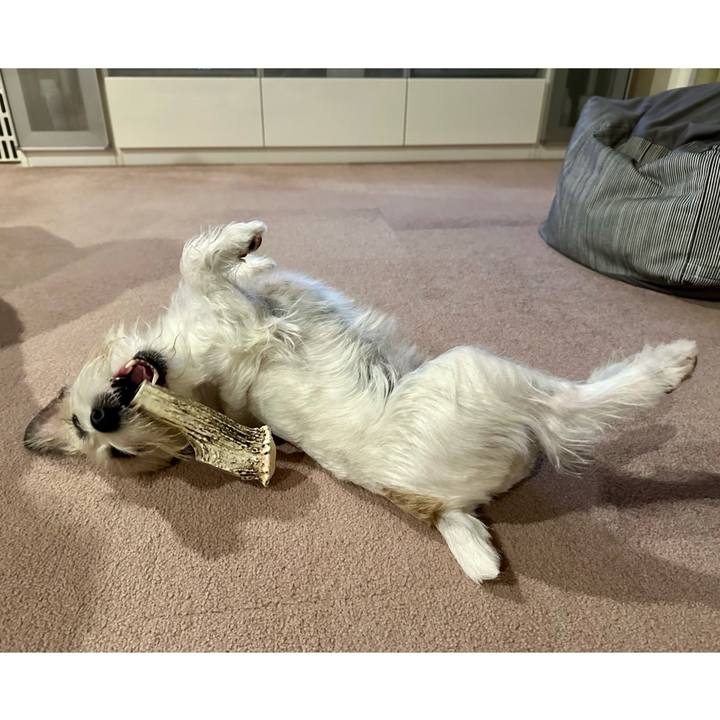 95f8d60d 5fcf 41b0 afe1 aac2f1d1802a 1698931423657