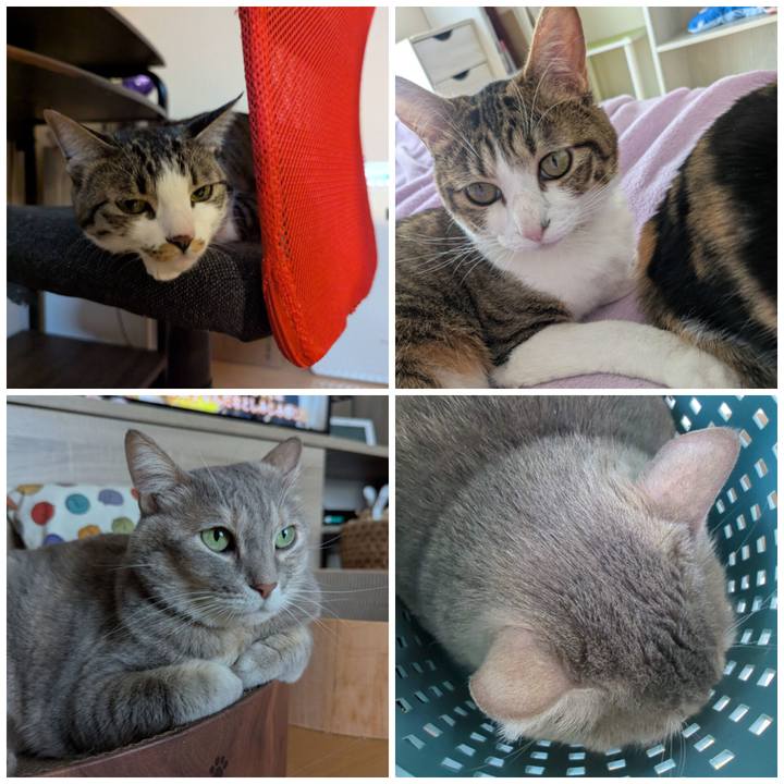 95f8f31d 204b 49b1 8759 88466658f9ec 1768471840154