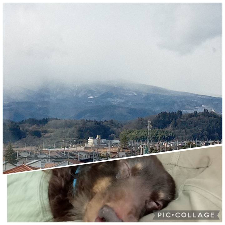 95f90ee2 e883 4b68 a036 05deb90cfe4c 1767573191544