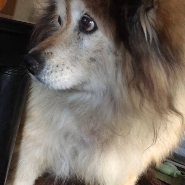 95f912e4 b6e0 4294 bf15 8bf79403868c 1638427011142