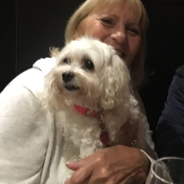 95f937d9 948e 4a9e 95b0 4125437c0a36 1566081239572