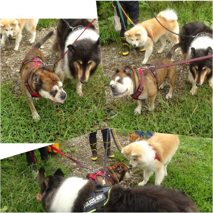 95f9394f 57c2 49d9 ac79 a70c9a87dae5 1600005419101