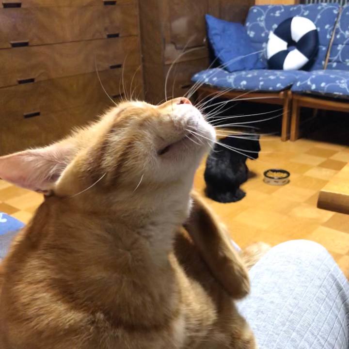 95f940e9 bd02 479b a57f 52b860c0eb8e 1569500177673