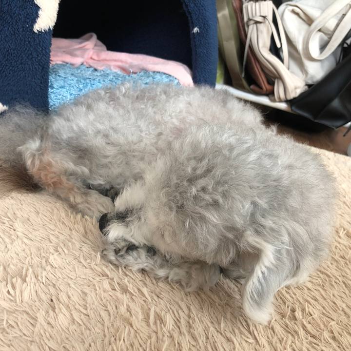 95f95bd1 94f1 4a40 a9e4 55f3b4b4b0e6 1647398416501