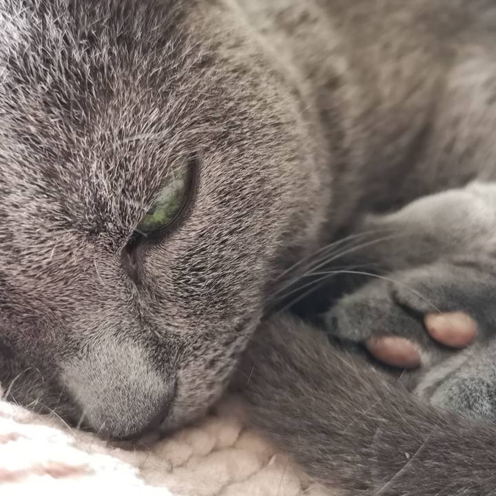 95f96281 91f2 41e6 8af3 edff0764cb19 1599365994486