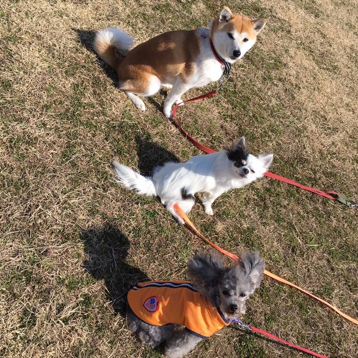 95f96287 15b7 4754 90ad 0d7eefee8f53 1519514265273