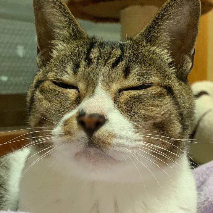 95f9a27a 47bd 4376 9a56 da988cb08026 1540172871212