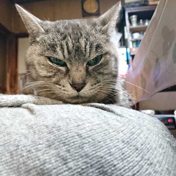 95f9e4a0 1cc0 4115 85a9 fa50524713db 1576141502062