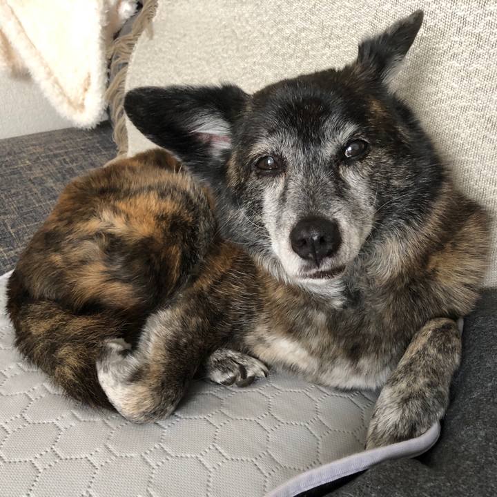 95fa45db 6af5 4e9c 9ad8 fea31999b6a4 1711832833231