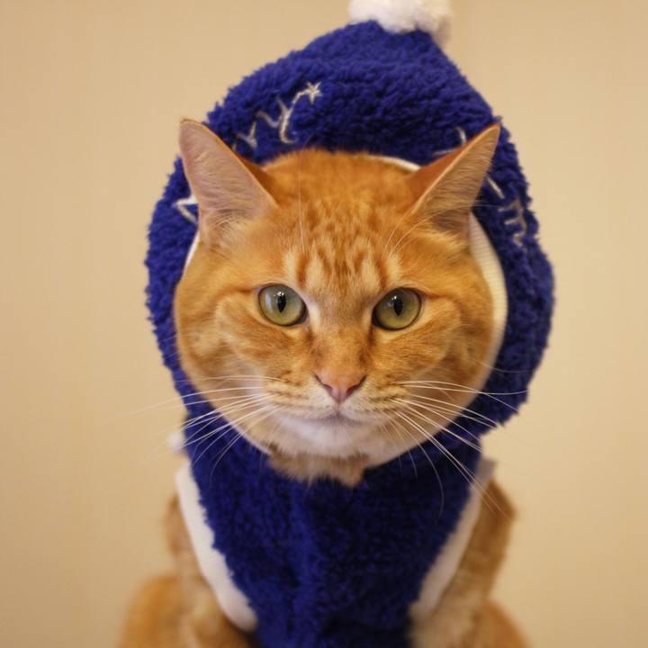 95fa4aa0 769c 4968 a709 18f9459e7e39 1764748973029