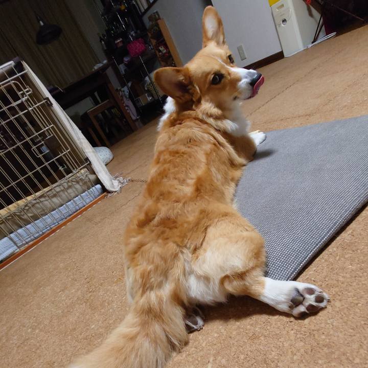 95fa7704 7a42 48a2 b879 4a930d630496 1761979719002