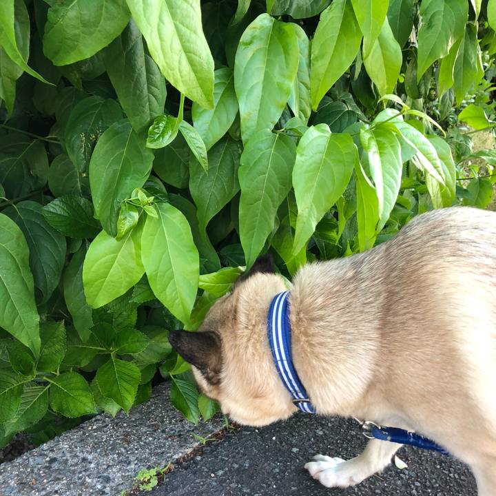 95fa77cf 67a3 44e9 9588 c70276ea698a 1558096814403