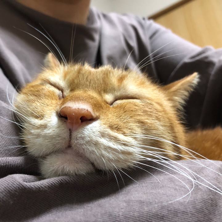 95fa7ac0 9357 42f1 94b7 186ad07f14b2 1701772468484