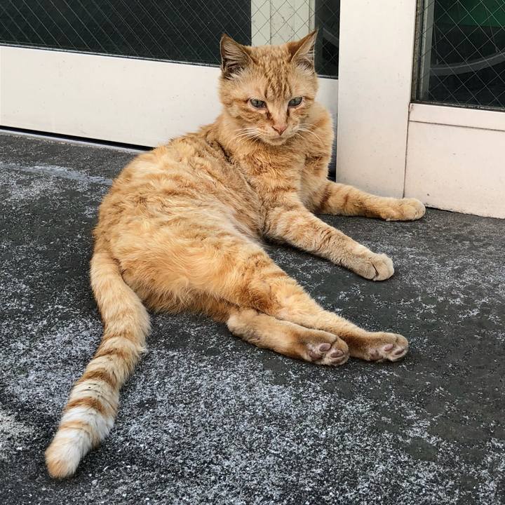 95fa8171 86a0 439f b610 5a407e68b501 1525418937290