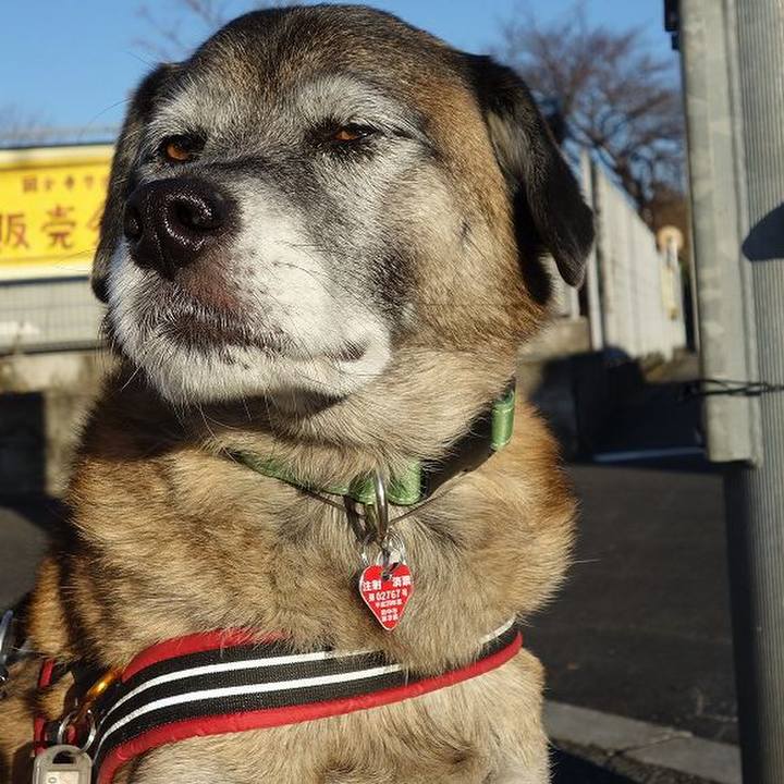 95fa8966 2193 4dc2 8a97 8f34f51702c6 1514249457096