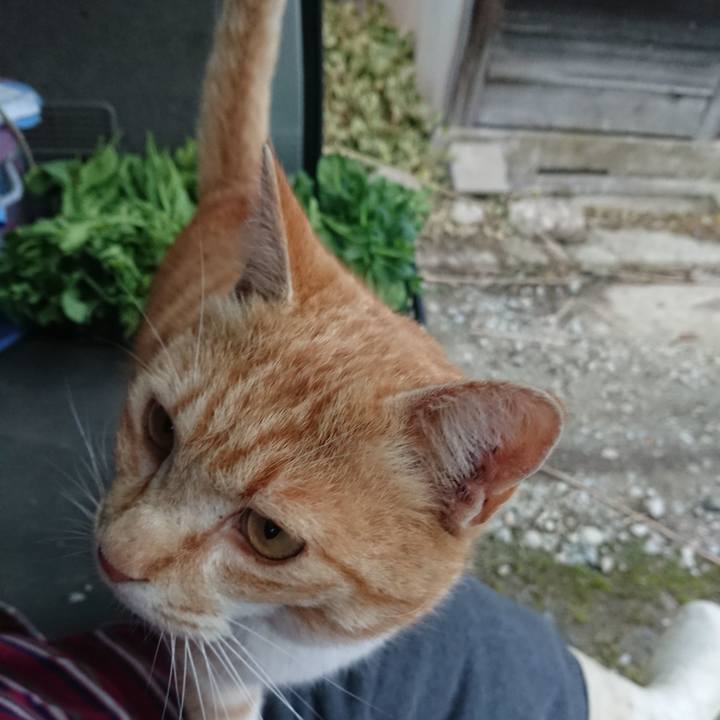 95fa8ed9 f331 4ea5 8f9a cfca4a16d4c4 1585385472568