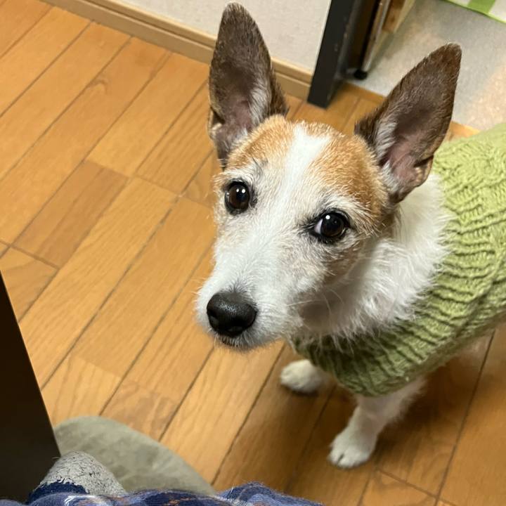 95faa9cf df8e 425c 875f fd89ad8991c7 1674084129476