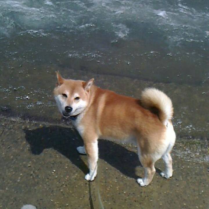 95fab7c0 db22 42d7 80a7 2a5cc4efc461 1557238009915