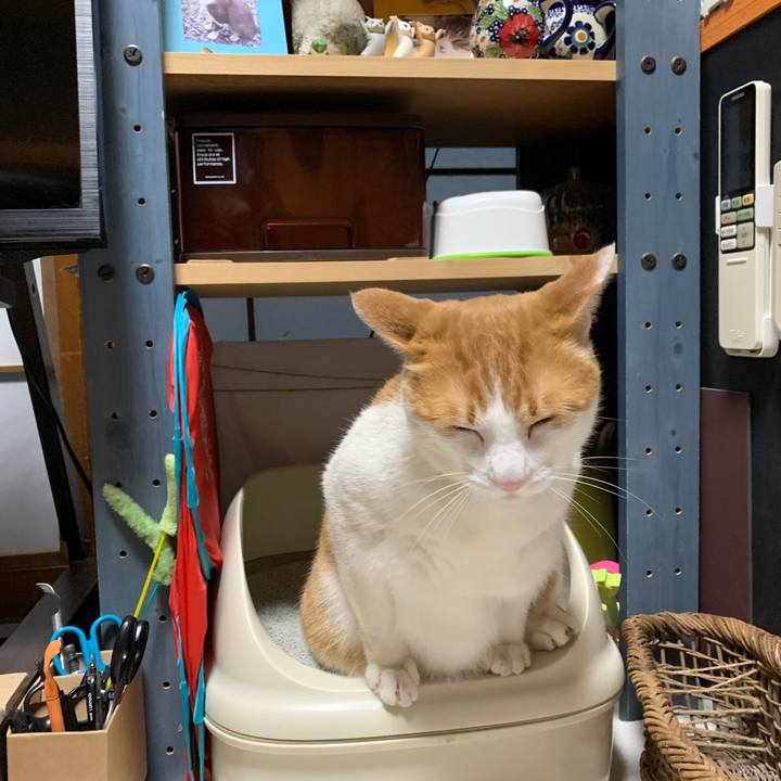 95fac52e 1b34 4c7f 98e5 d3511f5373ce 1592829834195