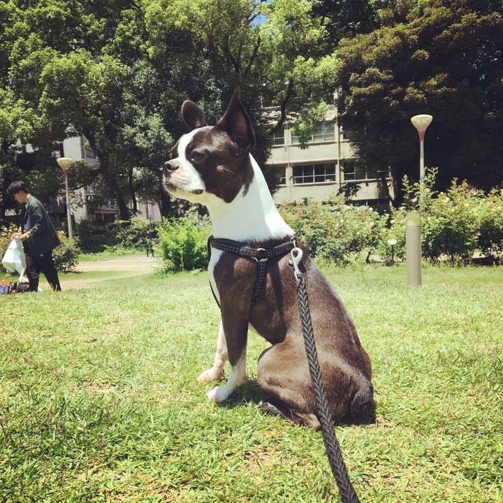 95faf75c ae77 4bf3 943d 2608884a743a 1530503309554