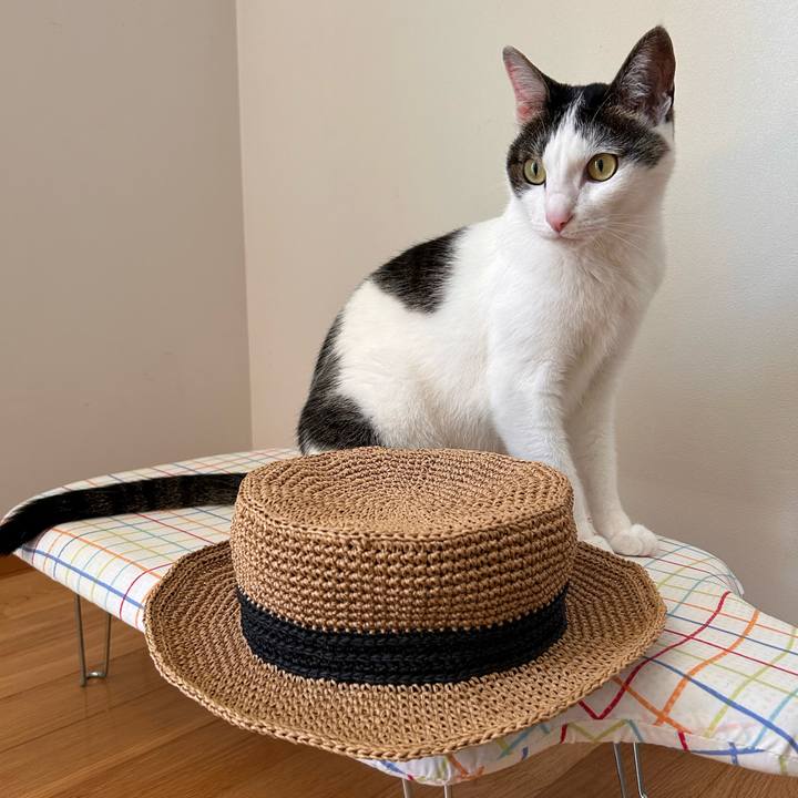 95fb00b0 3dff 47a4 acef fa31815dfc89 1749103552941