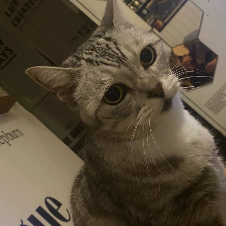 95fb0334 d7ed 497b 8858 f0fe505f0ed6 1732278161267