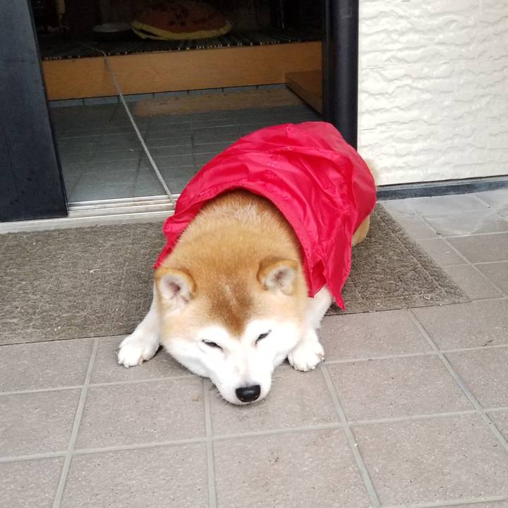 95fb0d07 4335 41f9 95a6 6a3339069d6b 1631098891850