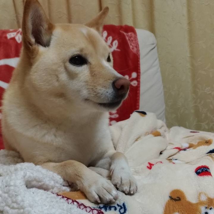 95fb2ab2 51fe 4cf3 bf4a 410ce744d31b 1608557035251