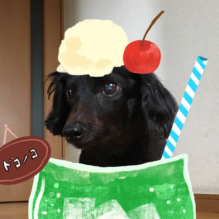 95fb30a2 dda4 4743 b709 164741fdef7d 1755050694739