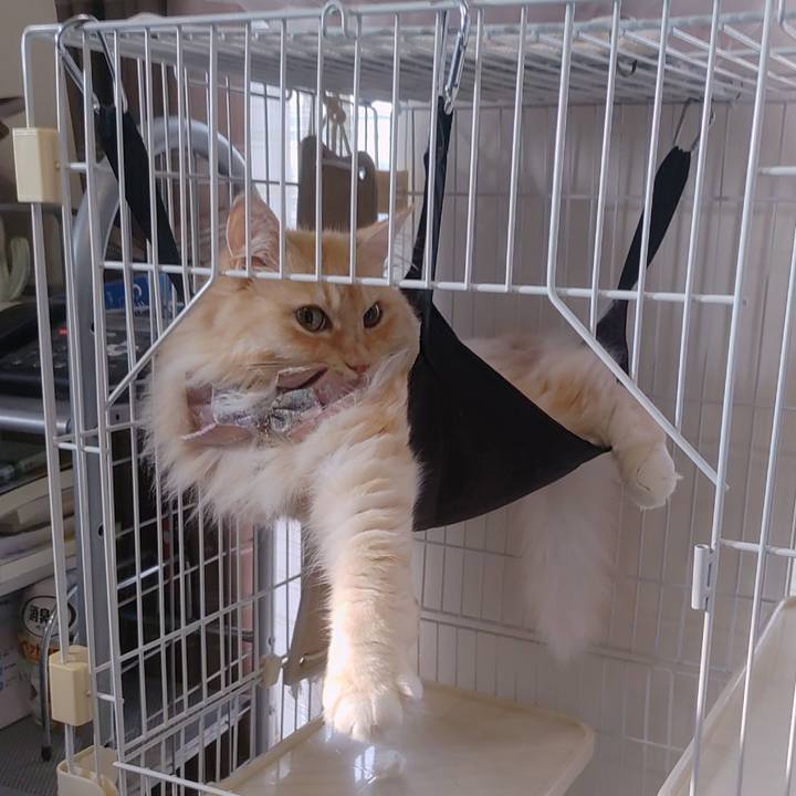 95fbb5f0 ef25 4f39 b38e 3bdd27d39b20 1723156677836