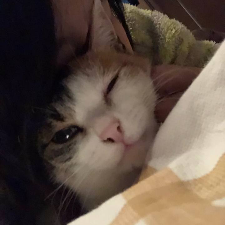 95fbc1c1 1569 4730 8d79 74689b178d65 1582041146299