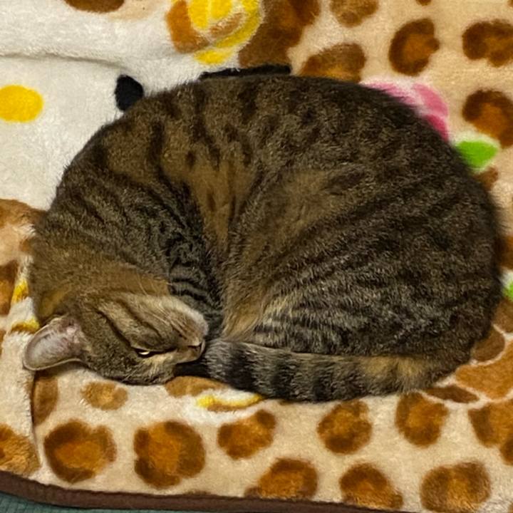 95fbd95c 4c50 4a63 ae90 bebcb2ba1895 1614676628645