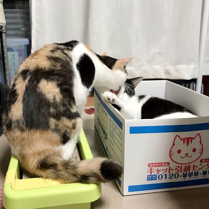 95fbed59 a54d 431f a507 6beadcde866d 1536806470310