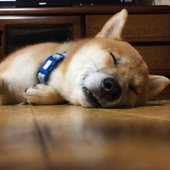 95fc2bc0 f8cf 471b 9394 3b271e04f648 1599477881425