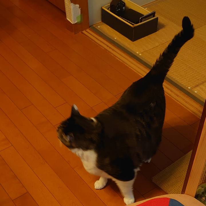 95fc36b0 0d34 4da3 bafd 8fe0d1336106 1595380422945