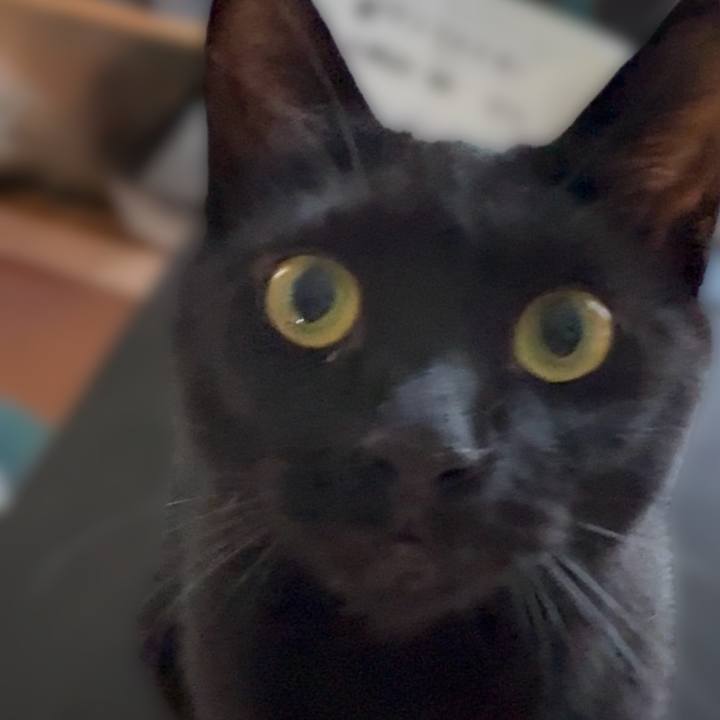 95fc596f 83d6 4869 af94 9ef9a73d27fc 1751965357112