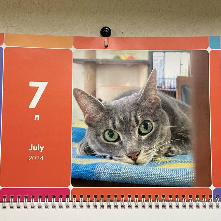 95fc6c10 9378 464a ae6c 8eea4268e132 1719843258892