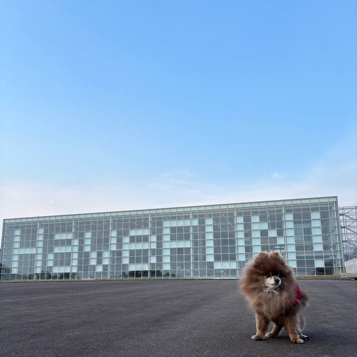 95fc9fb4 6d9c 4ac8 b64b a54f619b66fb 1742600178701