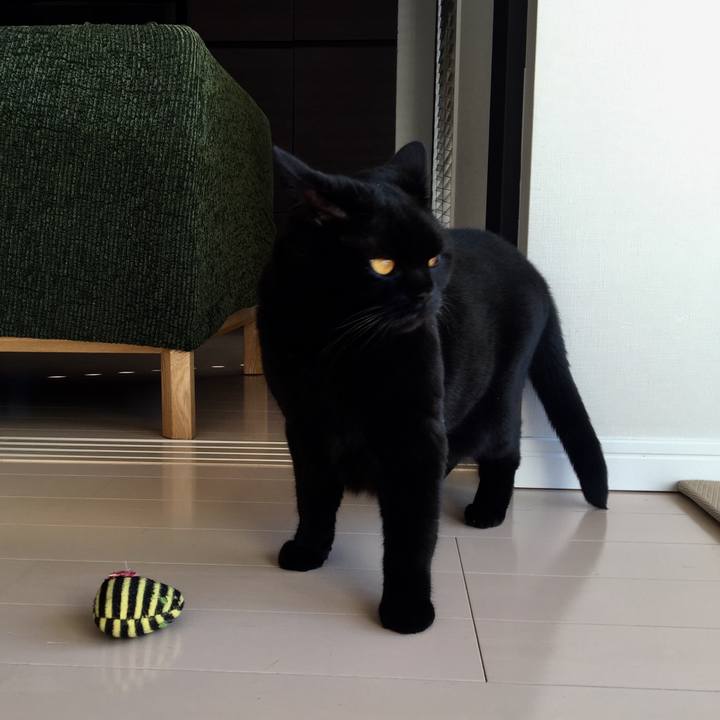 95fceba2 e065 4f77 b765 7da80b5be48f 1573618784675