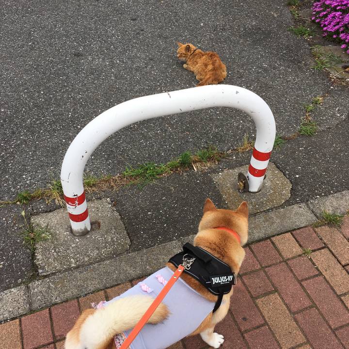 95fd0b0c d0a2 4a39 9db0 302d259fe0a0 1613215657545